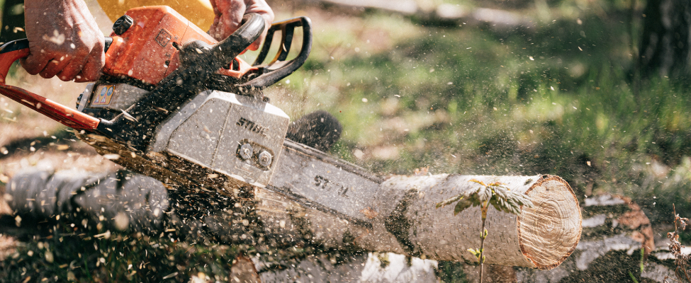 PEFC Forestry contractor certification