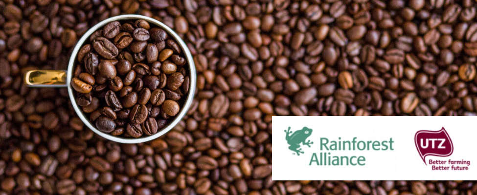 Apvienojas divas sertifikācijas organizācijas – The Rainforest Alliance un UTZ