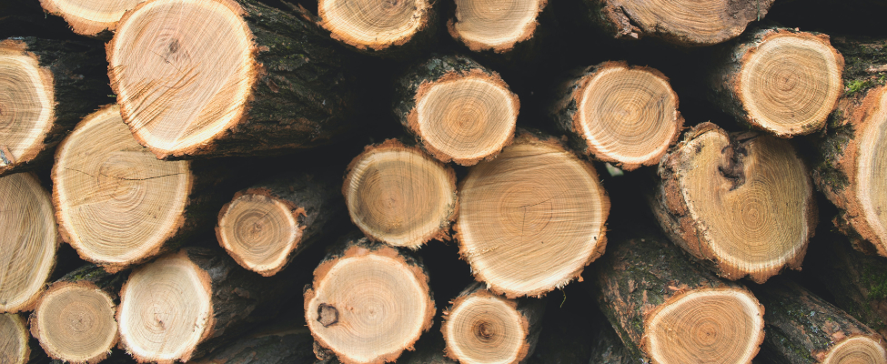 Оголошення щодо проведення четвертого наглядового аудиту PEFC FM для Львівського надлісництва філії «Карпатський лісовий офіс» ДП «Ліси України»