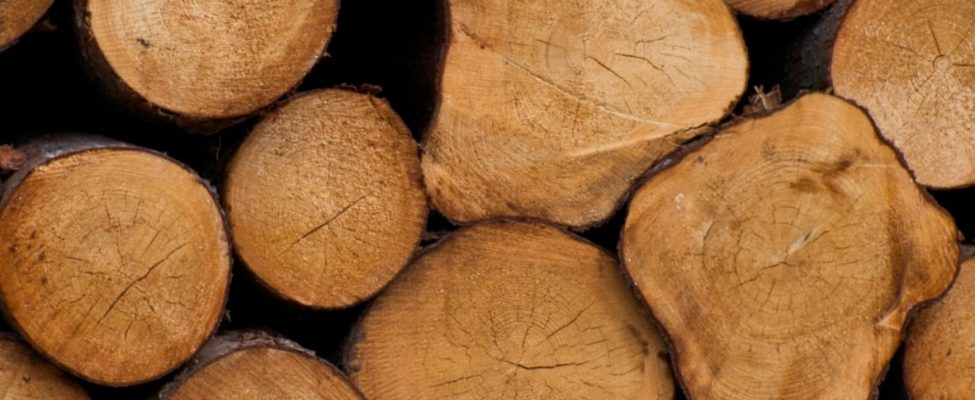 The European Commission is banning Belarusian timber imports into the European Union