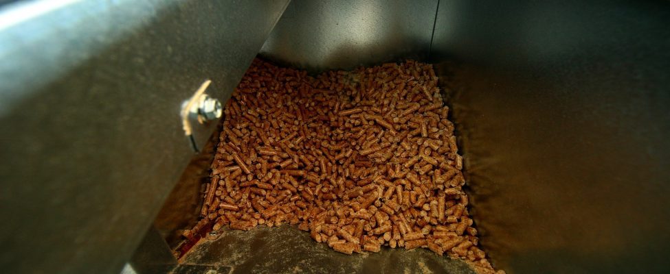 SBP Receives Formal Recognition as a Voluntary Scheme under REDII