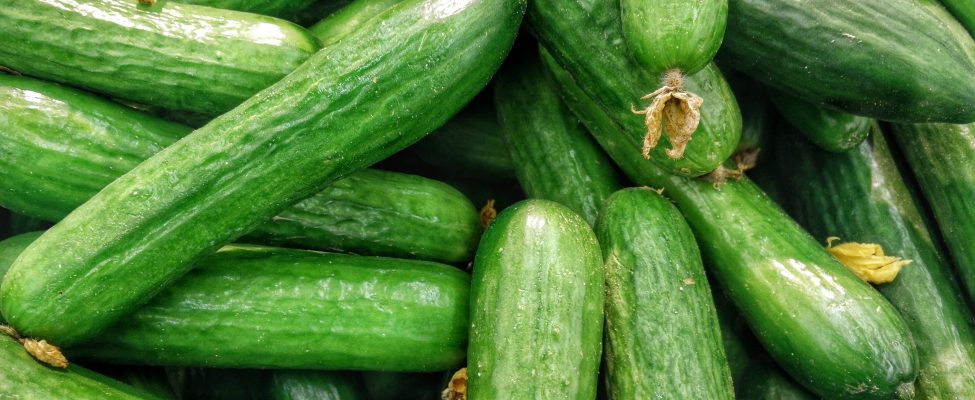 “Mārupes Siltumnīcas” iegūst augsti vērtēto GLOBALG.A.P. & GRASP sertifikātu