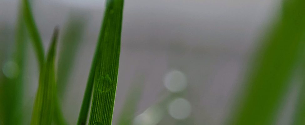 Product Carbon Footprint Verification (ISO 14067, PAS 2050)