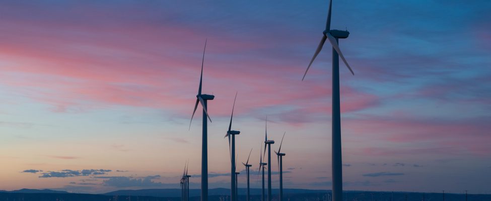 CDP Water & Carbon Verification – Carbon Disclosure Verification