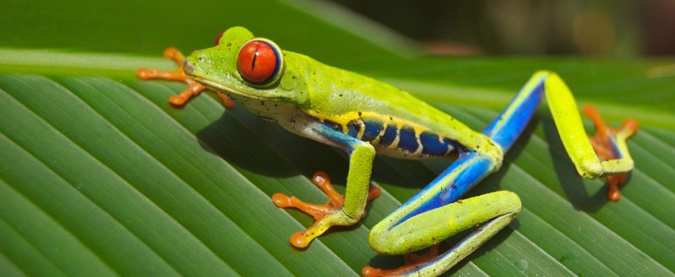 Sustainable Solutions: How ISO 14001 Contributes to Tackling Plastic Pollution