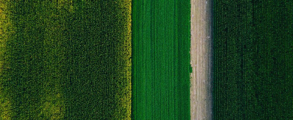 EU Taxonomy, SFDR, and European Green Bond Verification