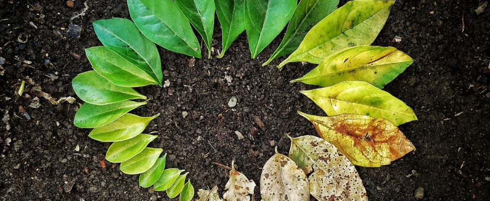 The Paramount Benefits of Life Cycle Assessment (LCA) in Today’s Business Environment