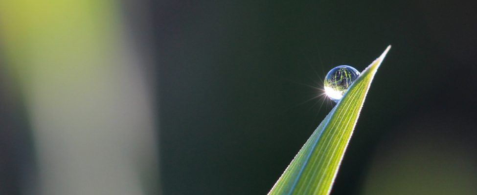 The Power of International Standards