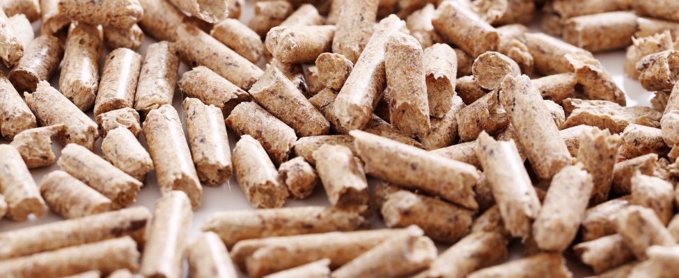 ENplus® Certification for Wood Pellets