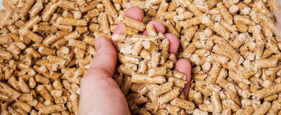 BM Certification receives approval to operate under the KZR INiG scheme