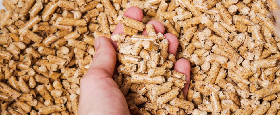 ENplus® Certification for Wood Pellets