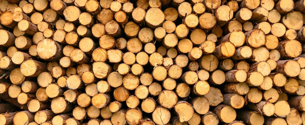 BM Certification Receives Accreditation for FSC® Chain of Custody Certification