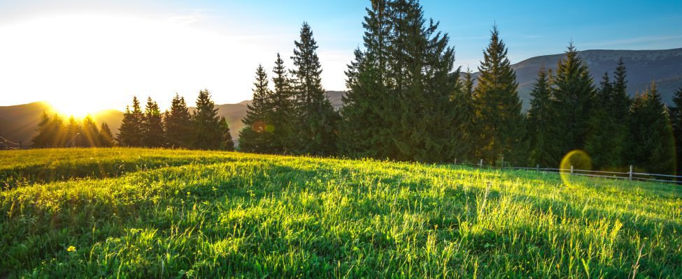 Green Gold Label certification extension