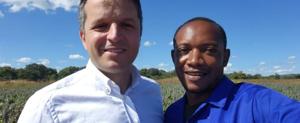 Vom Feld in die Luft: Nachhaltiger Rizinusanbau in Sambia